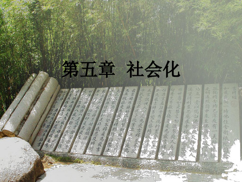 第五章社会化PPT课件