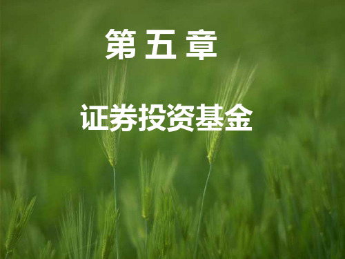 《证券投资基金》幻灯片PPT