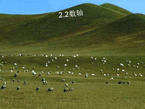 青岛版七年级数学上册2.2《数轴》课件_2