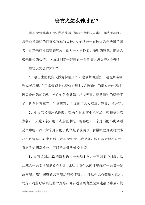 贵宾犬怎么养才好？