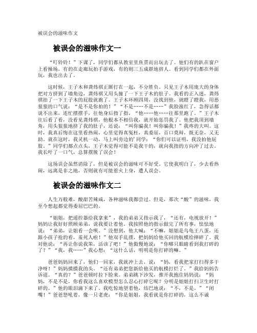被误会的滋味作文