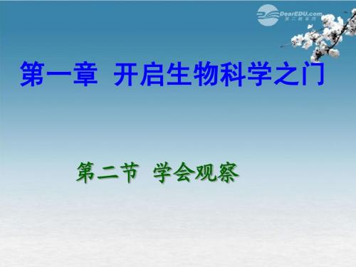 一.2_第二节_学会观察课件_