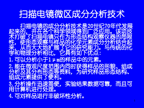 扫描电镜微区成分分析技术解析
