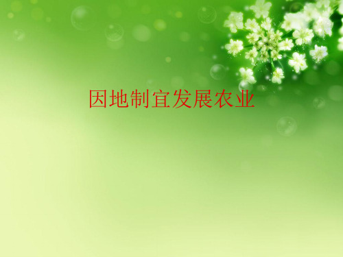 因地制宜发展农业优秀课件