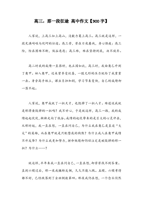 高三,那一段征途 高中作文【900字】