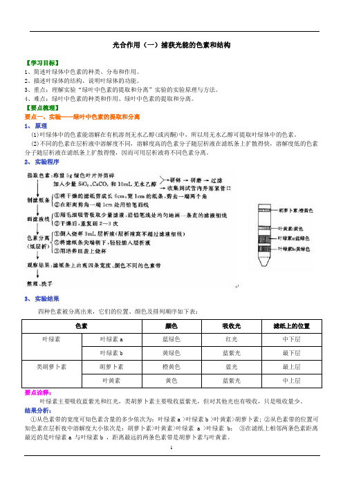 光合作用(一)捕获光能的色素知识讲解