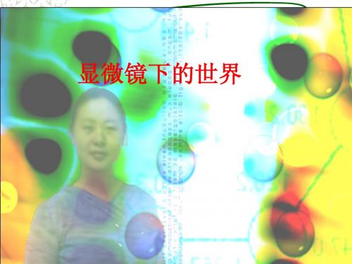 五科学上册第一单元显微镜下的世界