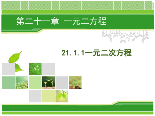 人教版初中数学课标版九年级上册21.1一元二次方程(共17张PPT)