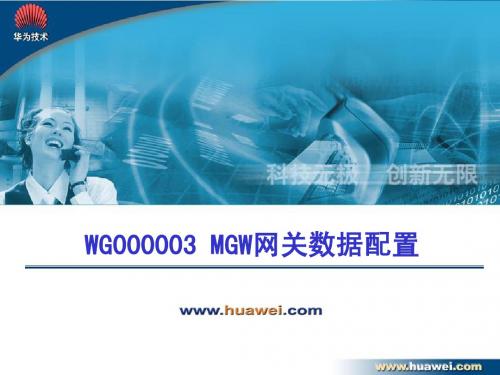 WG000003 MGW网关数据配置