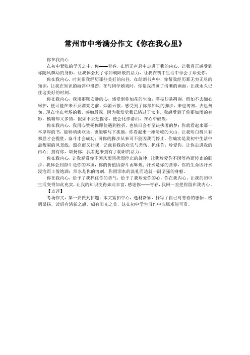 常州市中考满分作文《你在我心里》