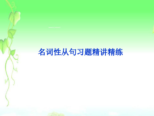 名词性从句经典习题讲解