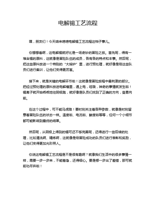 电解锡工艺流程