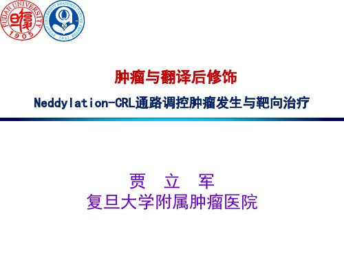 贾立军 讲课课件 2015-10-20 终板