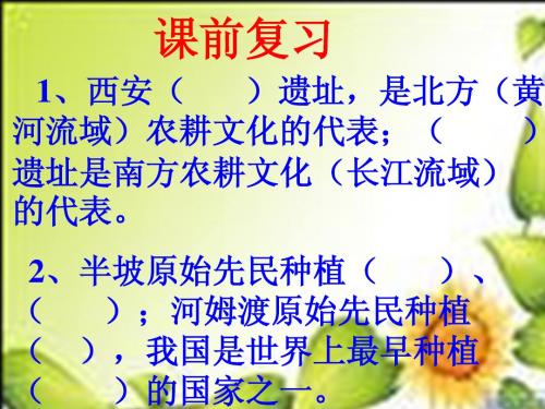 第3课中华民族的祖先课件(华师版七上)