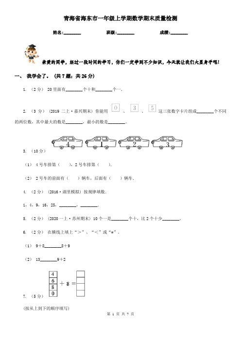 青海省海东市一年级上学期数学期末质量检测