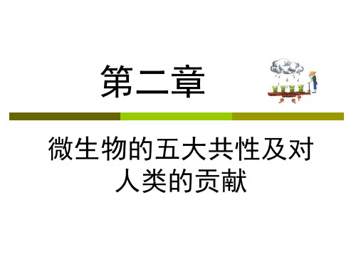 第二章    微生物的五大共性2013(1)