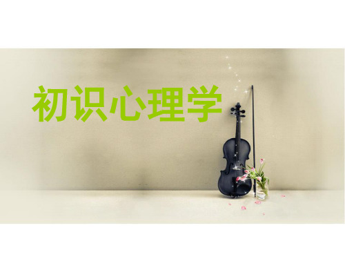 认识心理学PPT课件