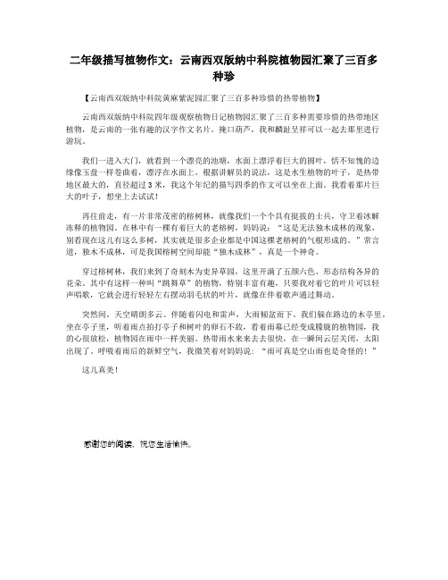 二年级描写植物作文：云南西双版纳中科院植物园汇聚了三百多种珍
