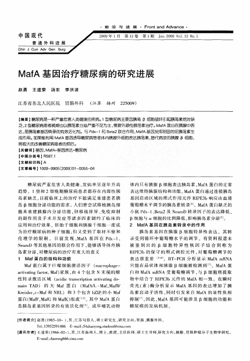 MafA基因治疗糖尿病的研究进展