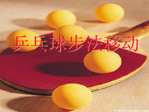 《乒乓球步法移动》优质课件
