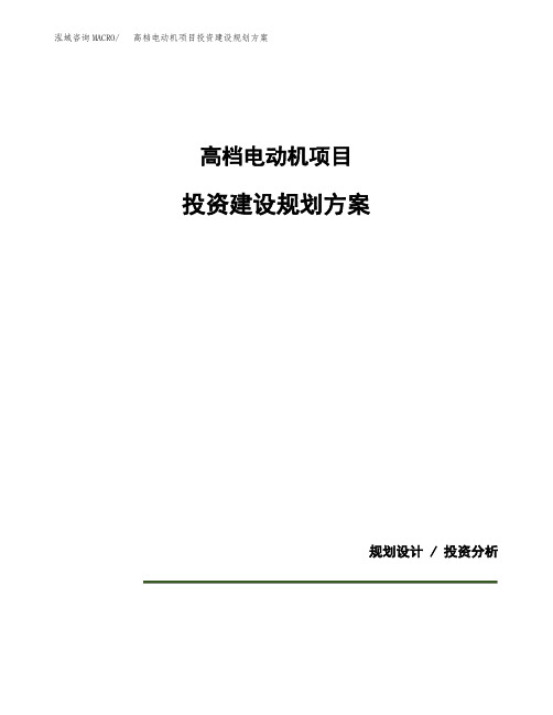 高档电动机项目投资建设规划方案(模板)