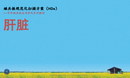 课件：10.1.5T.R2STAR规范化扫描方案