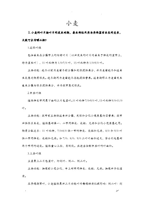 作物栽培学各论复习资料