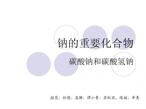 碳酸钠和碳酸氢钠-优秀课件