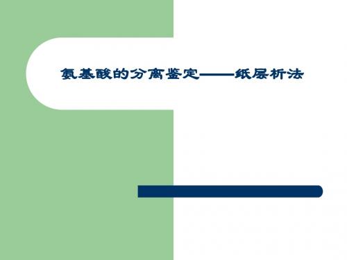 氨基酸的分离鉴定——纸层析法