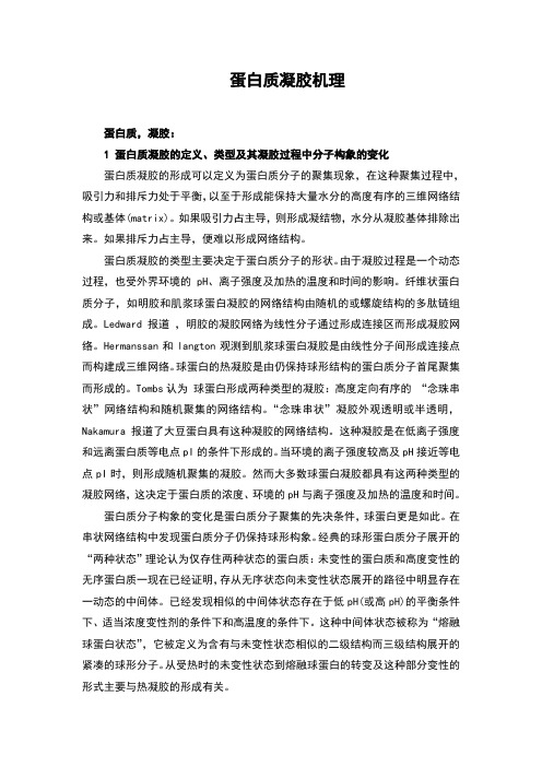 最新蛋白质凝胶机理