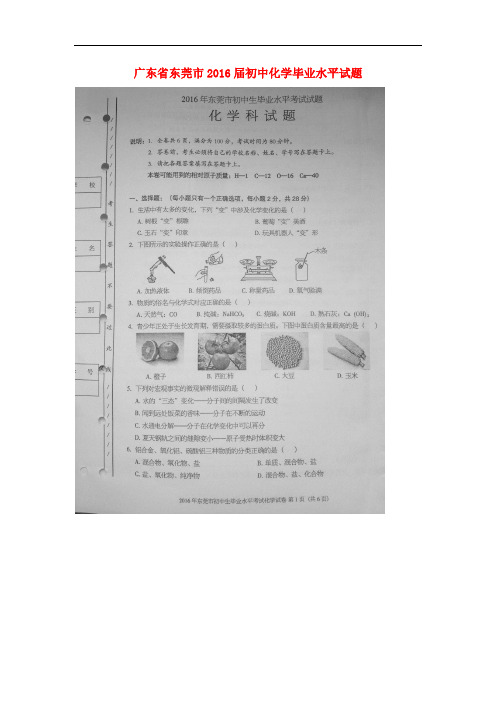 广东省东莞市初中化学毕业水平试题(扫描版)