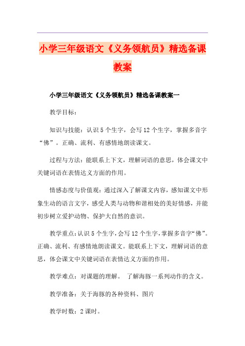 小学三年级语文《义务领航员》精选备课教案