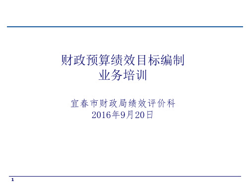 项目绩效目标