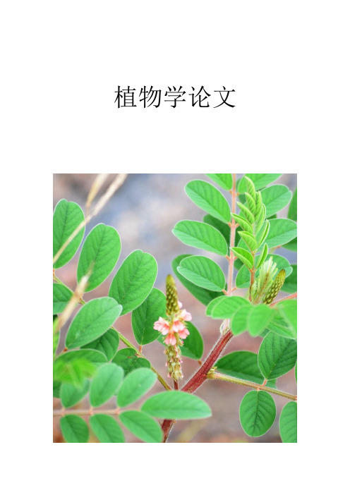 植物学论文