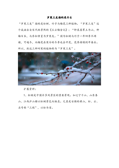 岁寒三友指的是什么