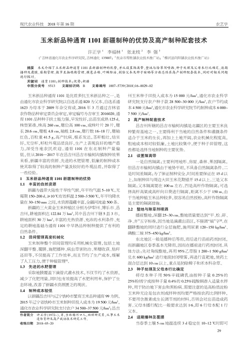 玉米新品种通育1101新疆制种的优势及高产制种配套技术