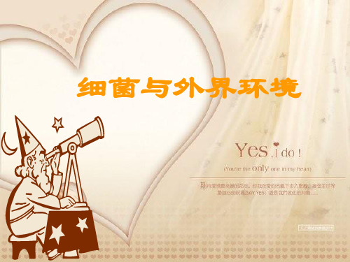 细菌与外界环境