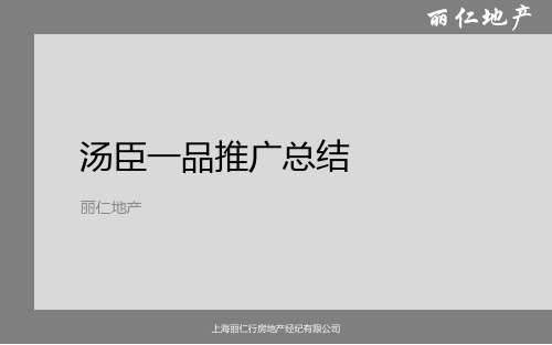 丽仁地产上海汤臣一品推广总结
