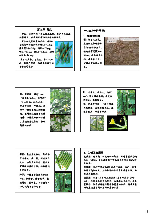 黄瓜