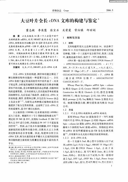 大豆叶片全长cDNA文库的构建与鉴定