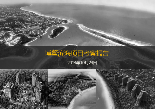 考察报告PPT模板