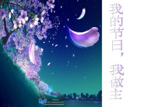 3我的节日我做主