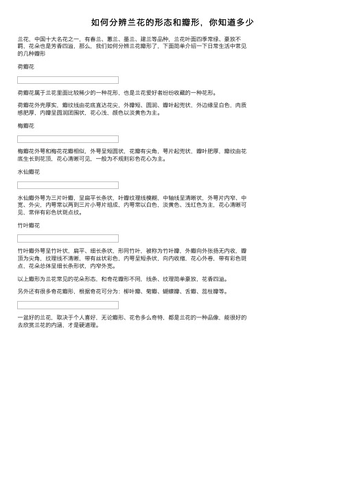 如何分辨兰花的形态和瓣形，你知道多少
