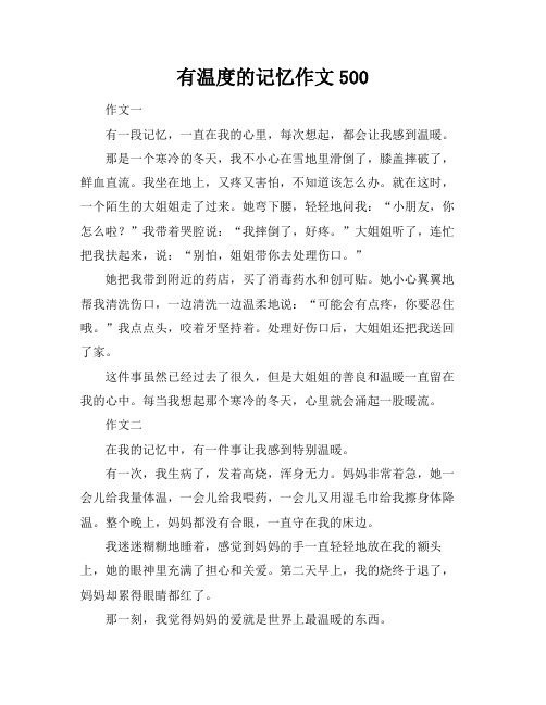 有温度的记忆作文500