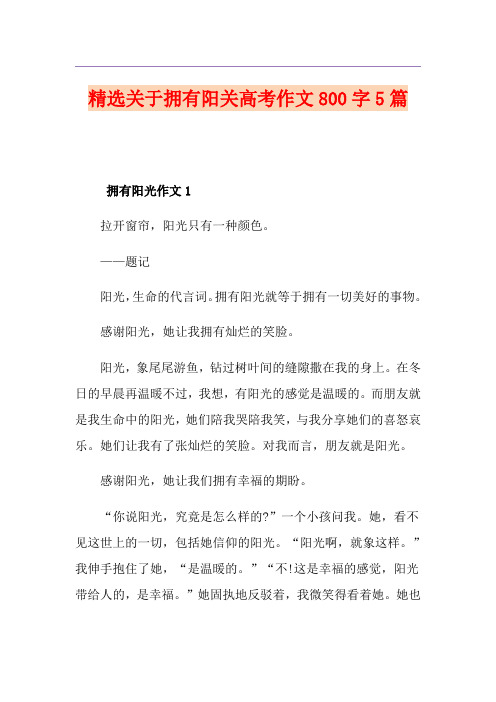 精选关于拥有阳关高考作文800字5篇