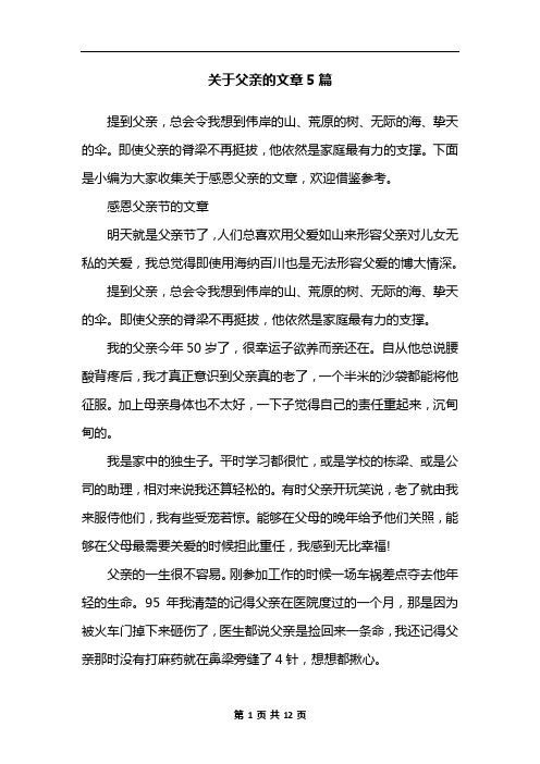 关于父亲的文章5篇