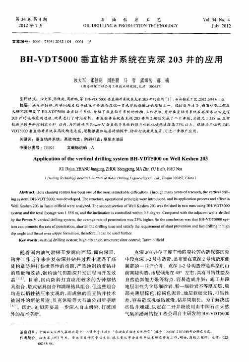 BH—VDT5000垂直钻井系统在克深203井的应用