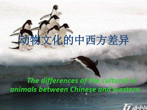 动物文化的中西方差异