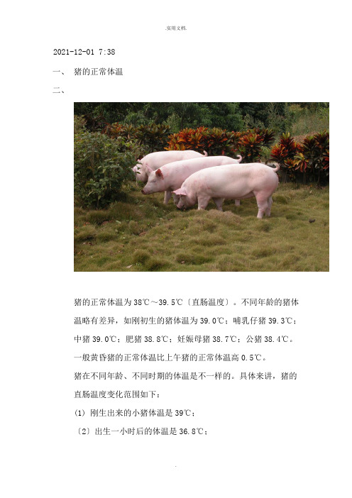 猪的正常体温