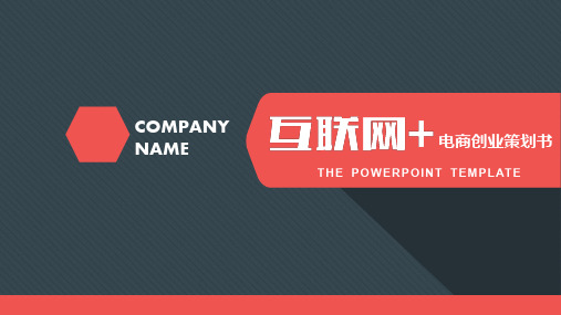 【黑粉简约扁平化】互联网+电商创业策划书